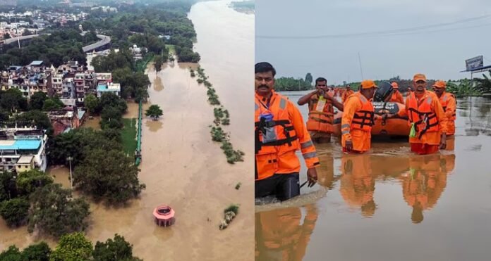 SDRF Rescue Operation in UP UP Flood