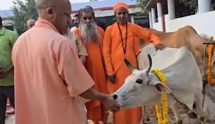 CM Yogi Performs Govardhan Puja Gorakhpur