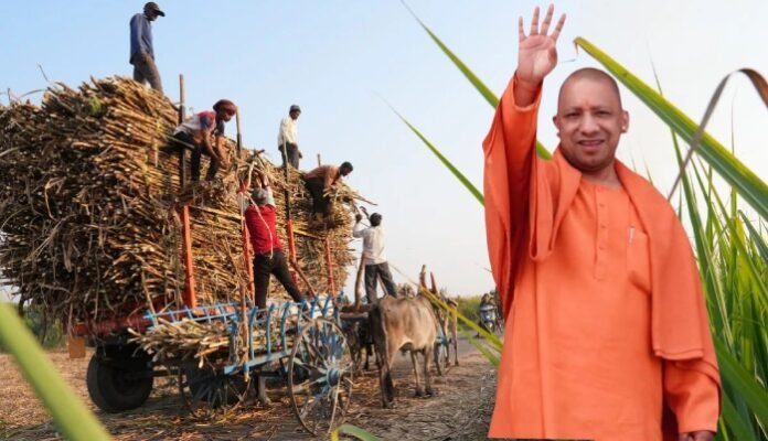 CM Yogi and Sugarcane Farmers CM Yogi