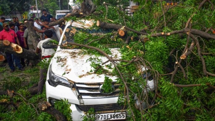 Tree fell on vehicle in storm