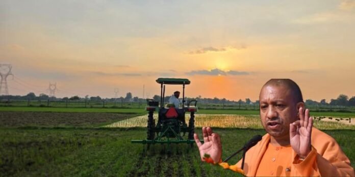 UP Farmers